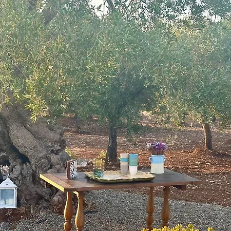 Albero Dolce Home&pool *