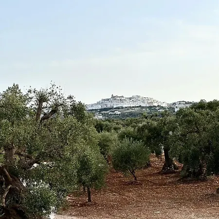 Albero Dolce Home&pool Willa *