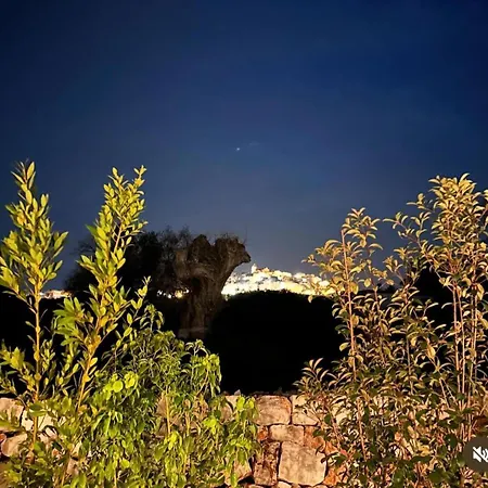 Villa Albero Dolce Home&pool