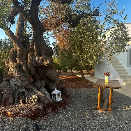 Albero Dolce Home&pool Villa